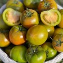 경수농장 이미지