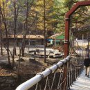 통고산자연휴양림 이미지