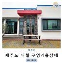 제주 애월 독채 펜션 구엄리용삼네 다녀왔어요. 내돈내산 솔직 후기