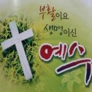 샬롬