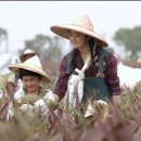 치산농장 이미지