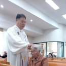 서분란 이미지