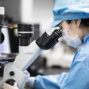 리노바이오 이미지