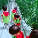 월포농장 이미지