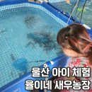 울산 아이와가볼곳 새우 미꾸라지 잡고 물놀이하는 율이네 새우농장 솔직후기