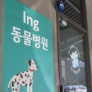아이앤지(ING)