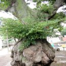 선소로3 이미지