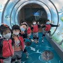 오치카리타스어린이집 이미지