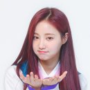 연우