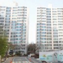 새연세부부치과의원 이미지