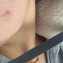 하우덴 | #25.10월 ~ 11월 기록