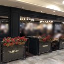 애슐리 W NC수원터미널 이미지