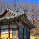 의령 백련암 목조보살좌상과 복장유물 이미지