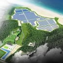 신세계 태양광발전소 이미지