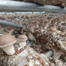 동기농장 이미지