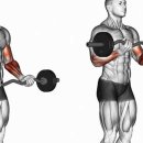 비피엠짐 이미지