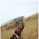 대성농장(5) 이미지