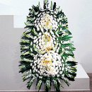 신흥동011 이미지