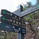 불광사 Daum카페