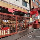 모란시장 이미지