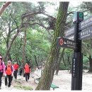 용봉약수터 이미지