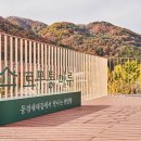 본질을 묻다 이미지