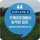 크린업24논산내동 | [작물 - 벼 ] 기계이앙재배시 농작업 일정
