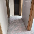 지엘리베리움 이미지