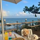 다담카페(cafe) 이미지