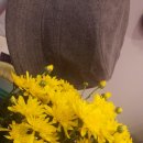 순천-57호 이미지