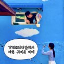부산 감천문화마을 계단위푸른집 내돈내산 후기｜열기구 인증샷 꿀팁&숨은 포토존