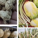 새순2농장 이미지