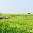 그섬에가고싶다 이미지