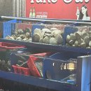 메모리멍 이미지