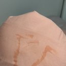 소담촌1번가직영점 | 3월이 얼마나 빨리 지나간 건지 감도 안 옴