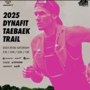 태백소원지 오토캠핑장 | 2025년 다이나핏 태백 트레일러닝 대회 참가 후기 (feat. 51K)