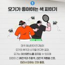 여름철 모기 피하기 위한 3가지 방법 이미지