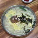 45 | 익산 태백칼국수 익산역 근처 45년 전통의 칼국수 맛집
