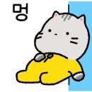 레드스토리 이미지
