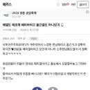 지금의 메르스 갤러리는 어쩌다 일베 소굴(우파 페미 소굴)이 되었나? 이미지