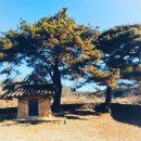 당동