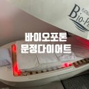 문정전신 다이어트 바이오포톤 슬리밍 문정점 바이오스펠톤 체험 후기