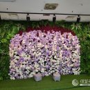 천안역지하도상가 이미지