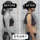 성공핏
