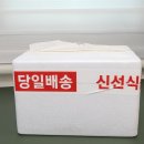 스키니부다 | 글루텐프리 케이크, 스키니부다로 홈카페 즐기기