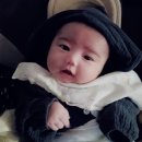 율이파파 이미지