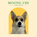 유원유치원 이미지