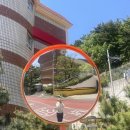 백양산 등산로 | 백양산 | 선암사 - 애진봉 - 백양산정상 원점회귀 등산코스 (7.3km 2시간)