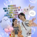 에펠타워 사거리-2 | 풀먼파리투르에펠 에펠탑뷰숙소 풀만파리타워에펠 2층 후기