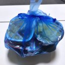 영빈반점 | 수원 우만동 영빈반점 낙지짬뽕 배달 후기 해산물 푸짐한 얼큰 국물